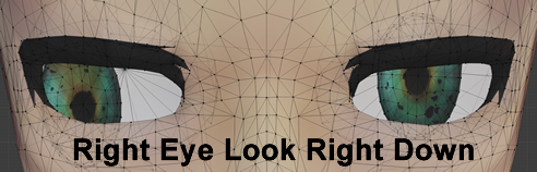 Right Eye Look Right Down.png