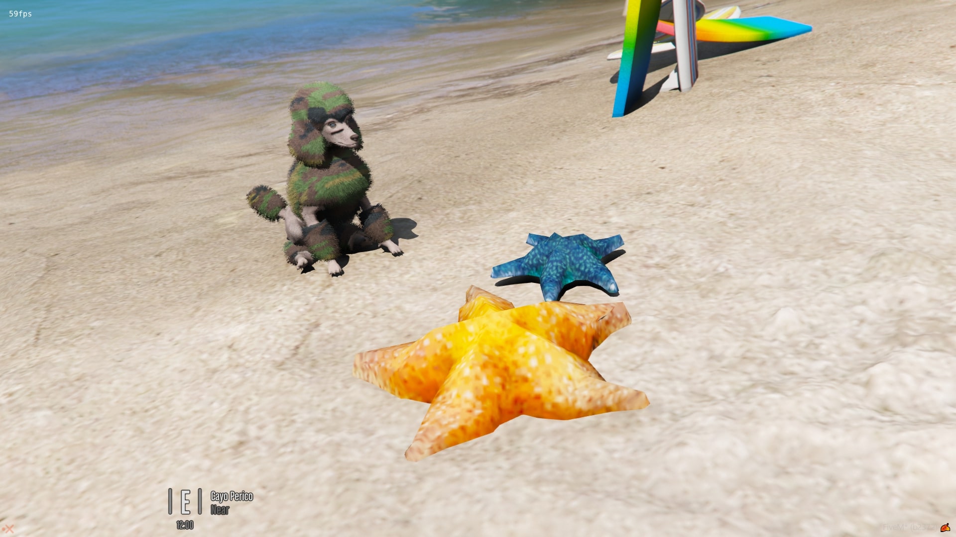 starfish.jpg