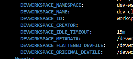 var-env-in-devspaces.png