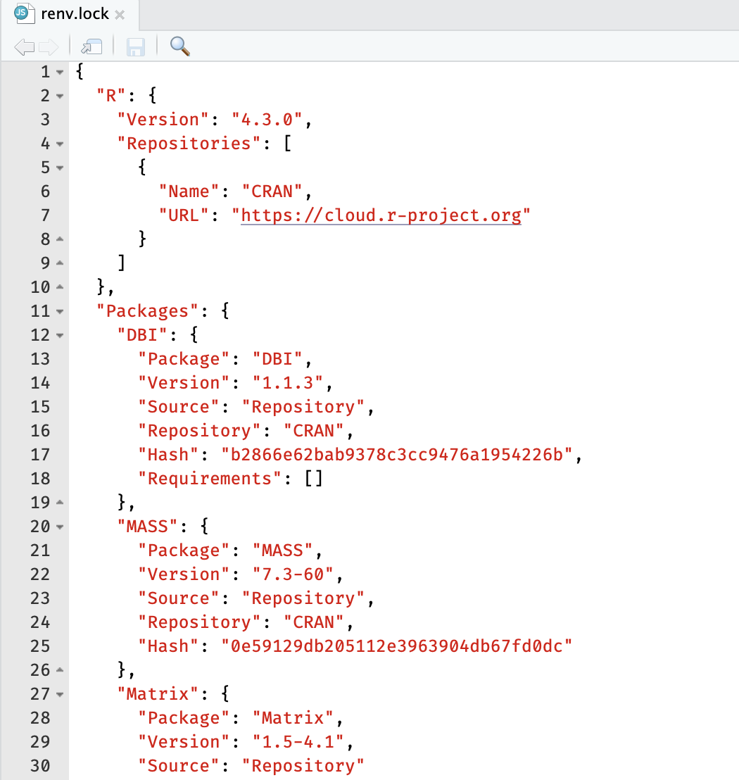 renv-lock-content.png