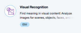 VisualRecognition.png