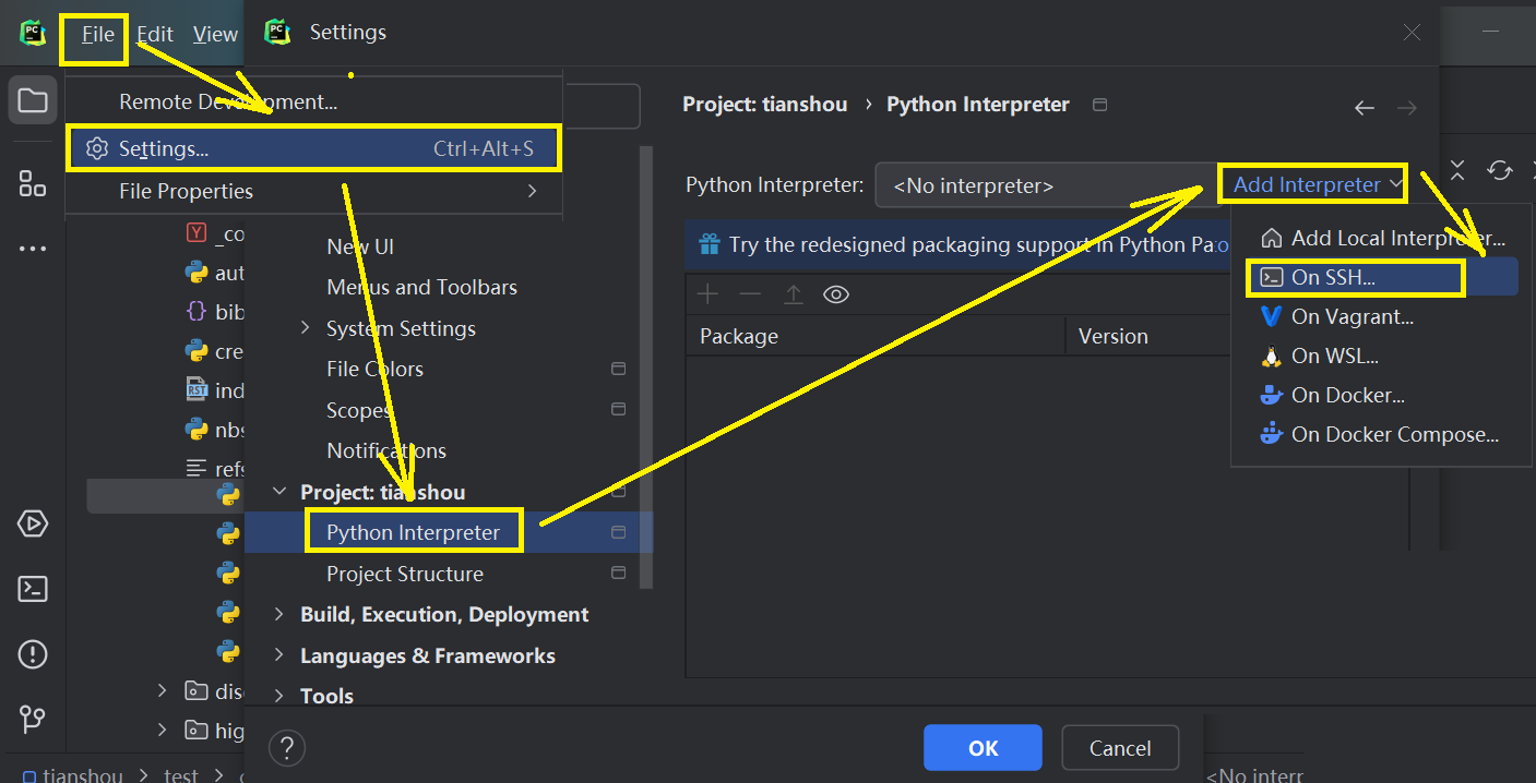 python-interpreter-setting.png