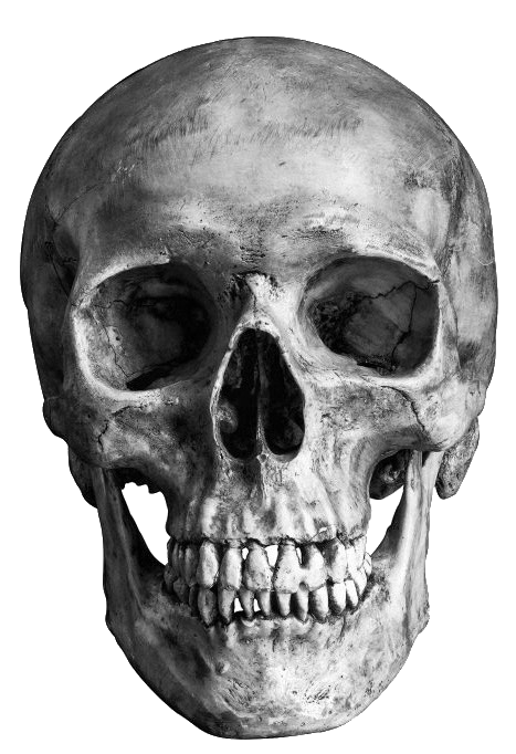 skull.png