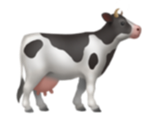 cow.png