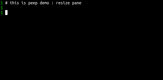 Resize Pane