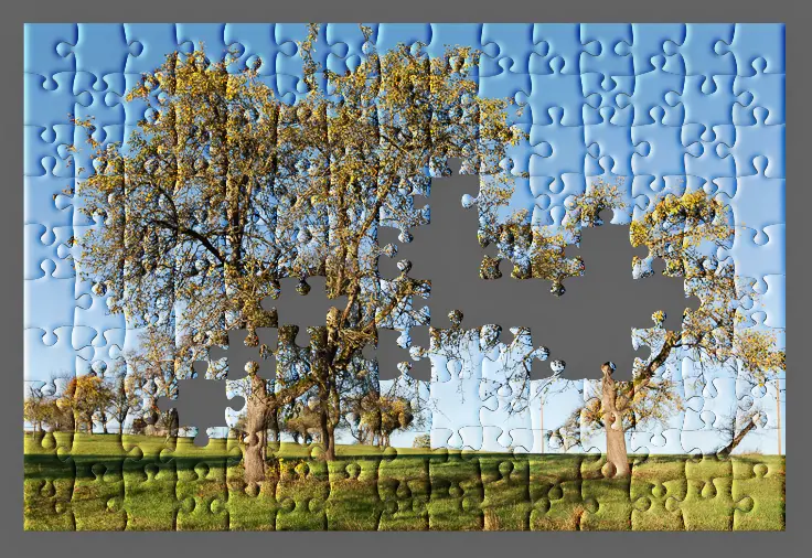 done_puzzle.webp.png