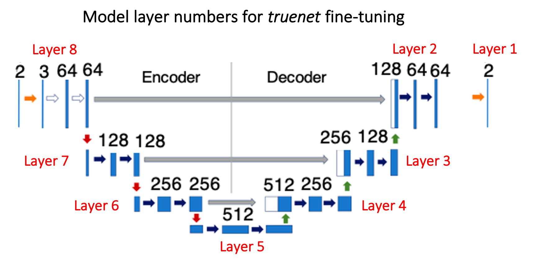 fine_tuning_images.png